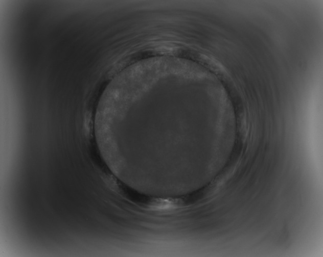 X0000087580083200705251850