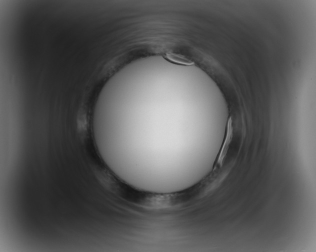 X0000087580084200705251850