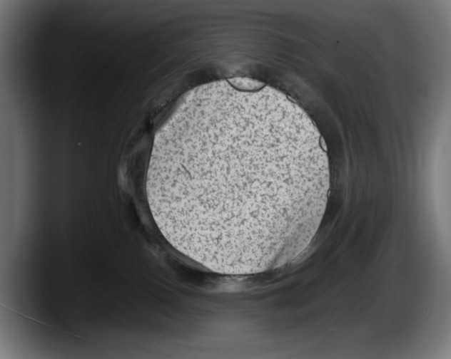 X0000087580090200705251850