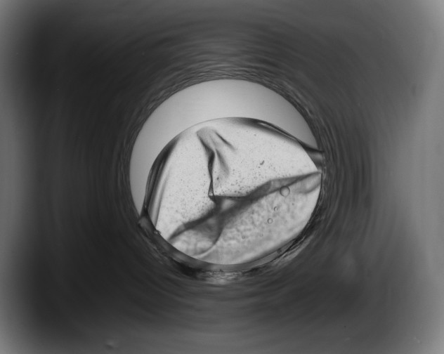 X0000087580096200705251850