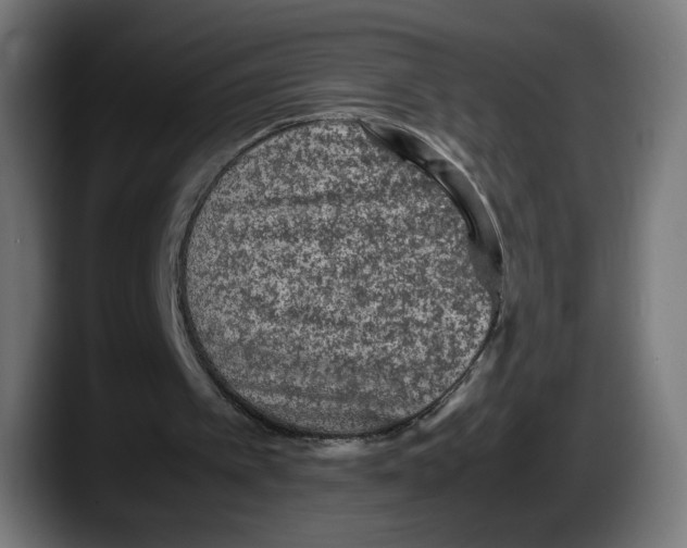 X0000087580097200705251849