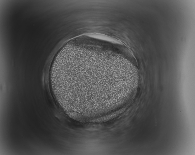 X0000087580099200705251849