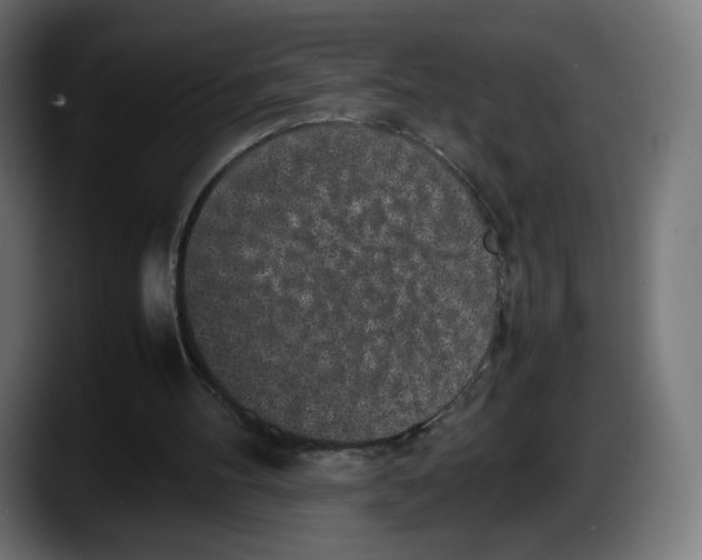 X0000087580100200705251849