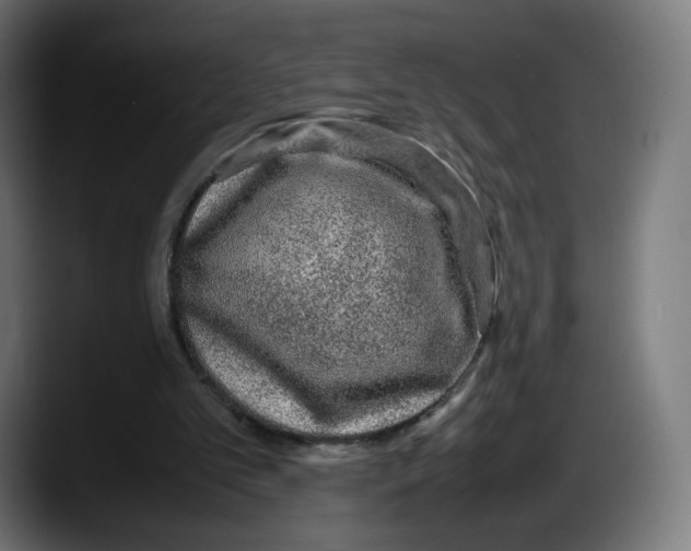 X0000087580101200705251849