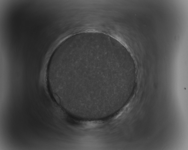 X0000087580103200705251849