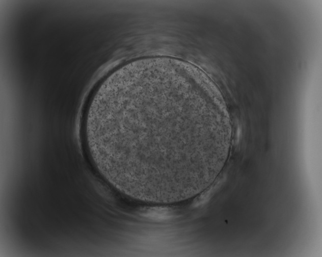 X0000087580104200705251849