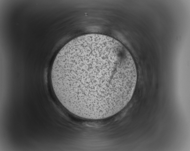 X0000087580106200705251849