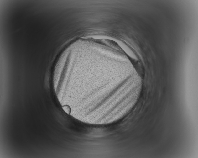 X0000087580107200705251849