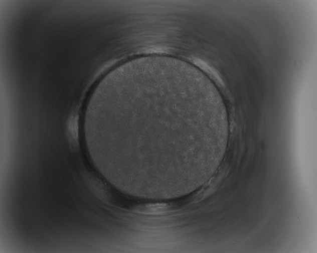 X0000087580108200705251849
