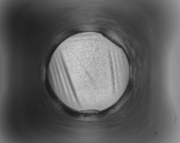 X0000087580109200705251849