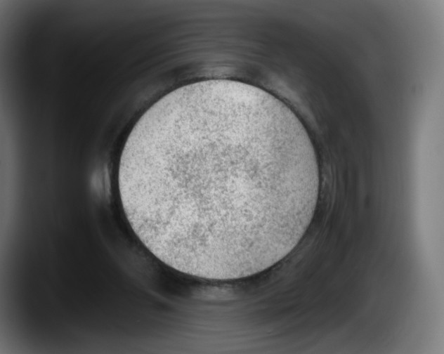 X0000087580110200705251849