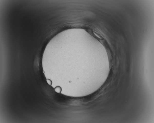 X0000087580115200705251849