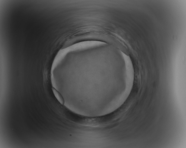 X0000087580117200705251849