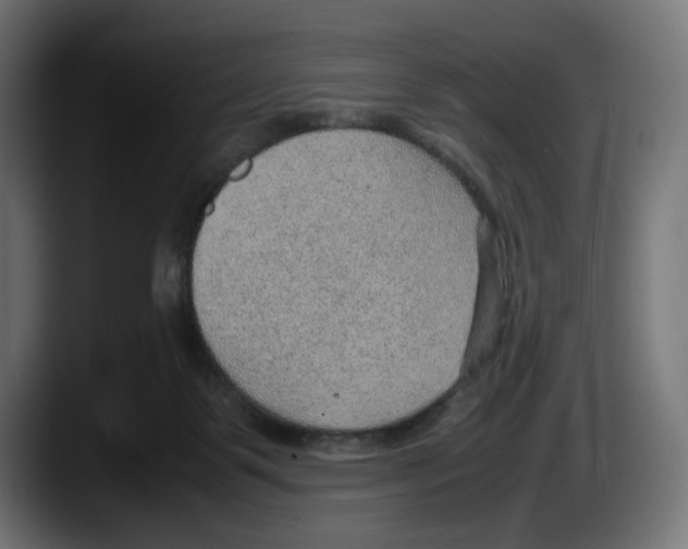 X0000087580123200705251849