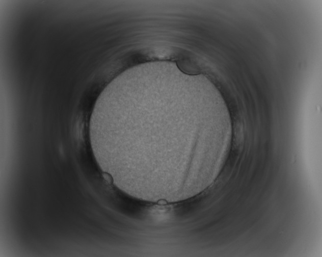 X0000087580126200705251849