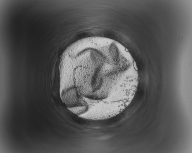 X0000087580127200705251849