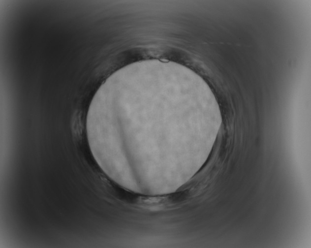 X0000087580129200705251849
