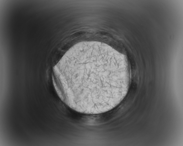 X0000087580131200705251849