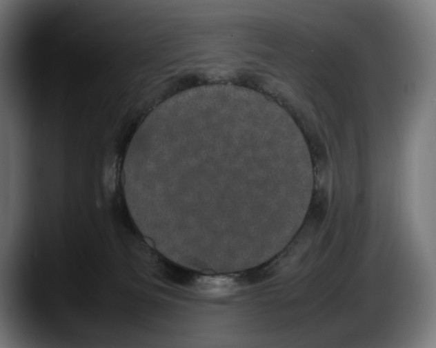 X0000087580133200705251849