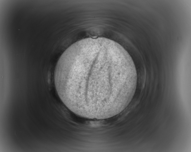 X0000087580134200705251849