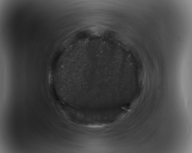 X0000087580137200705251849