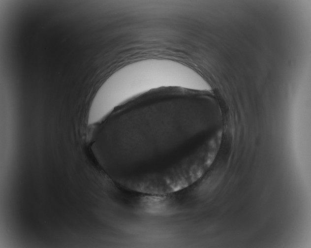 X0000087580139200705251849