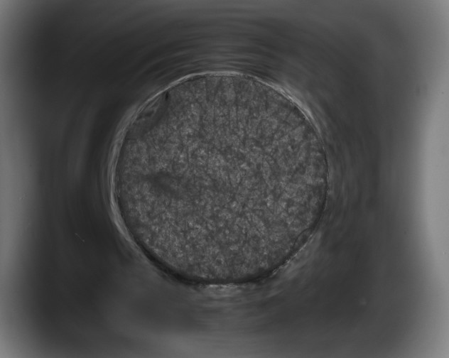 X0000087580145200705251848