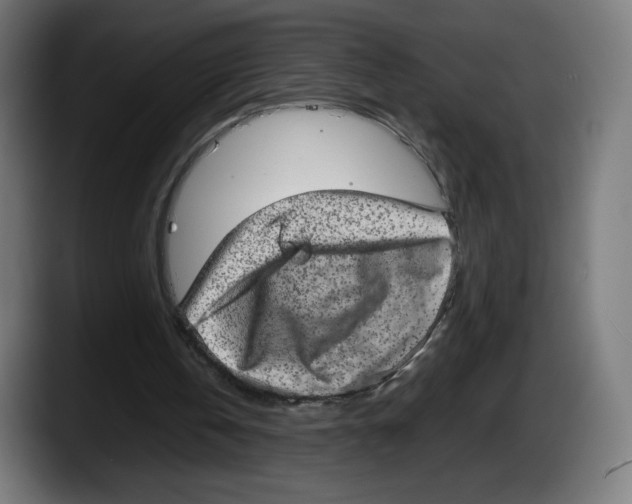 X0000087580146200705251848