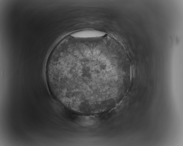 X0000087580147200705251848