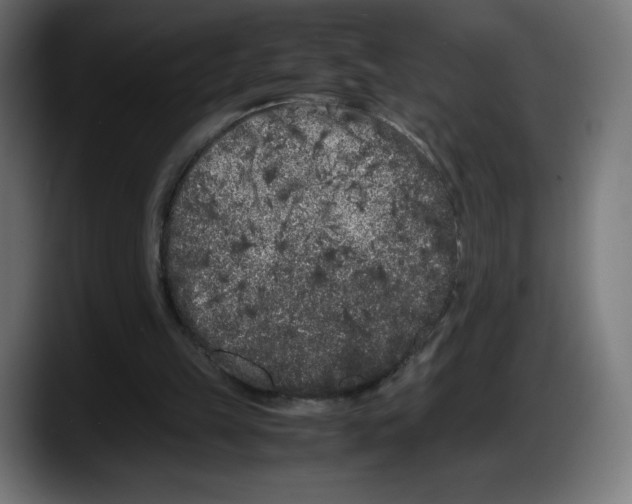 X0000087580149200705251848