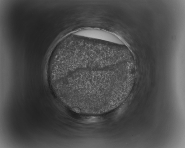 X0000087580151200705251848