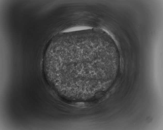 X0000087580153200705251848