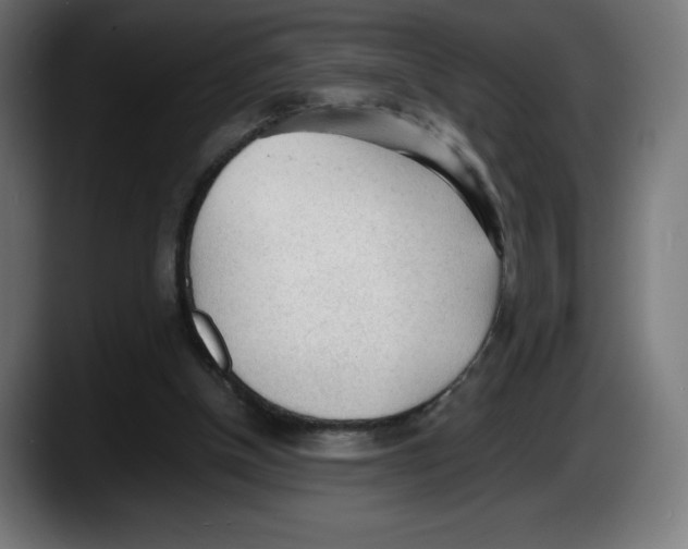 X0000087580154200705251848