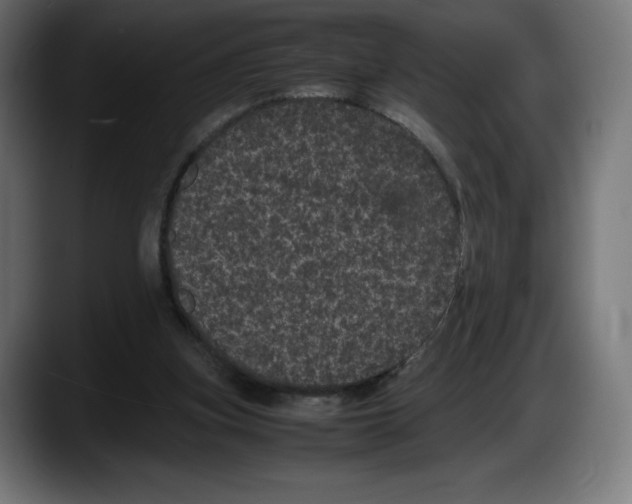 X0000087580155200705251848