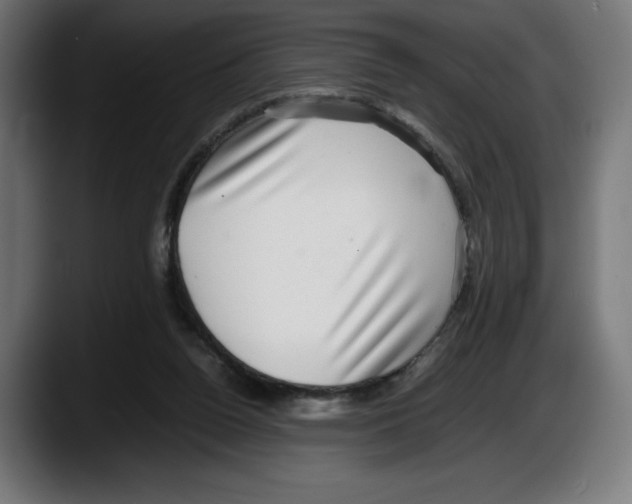 X0000087580160200705251848