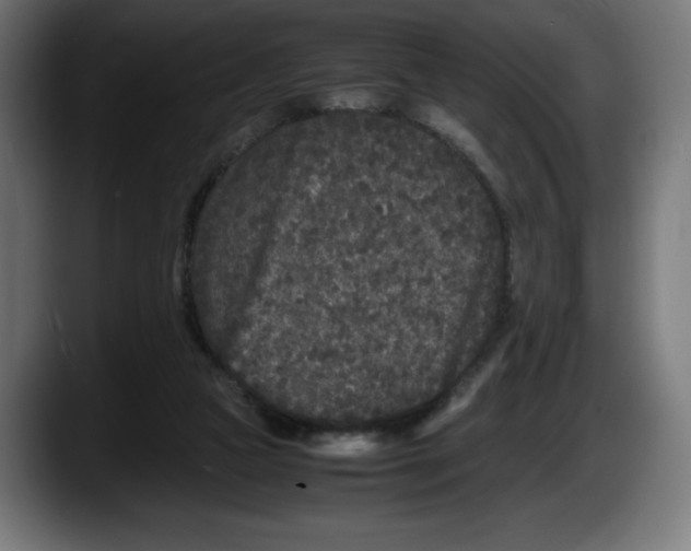 X0000087580161200705251848