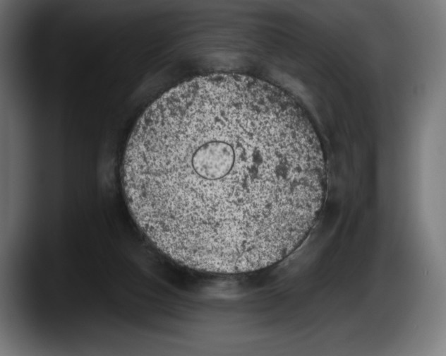 X0000087580162200705251848