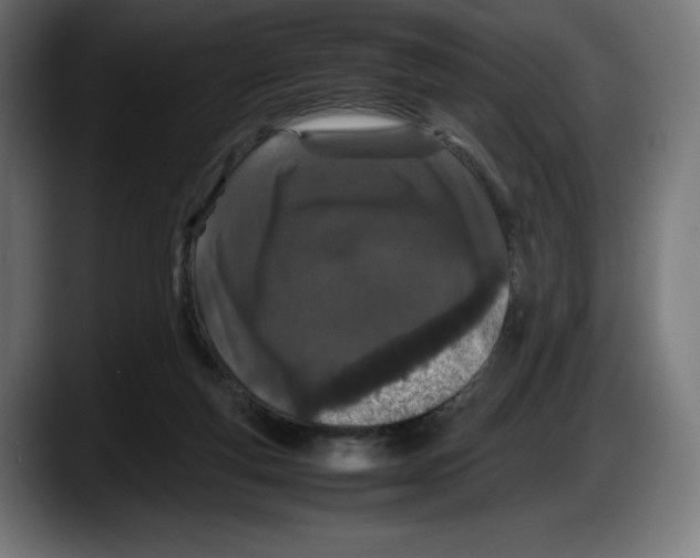 X0000087580163200705251848