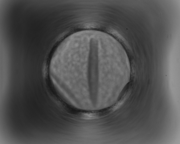 X0000087580164200705251848