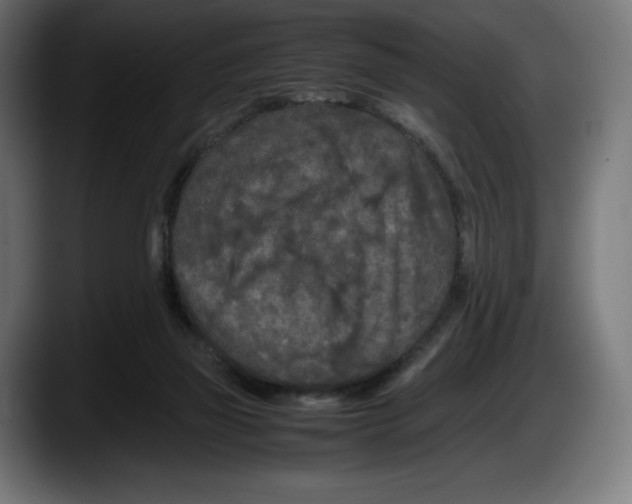 X0000087580165200705251848