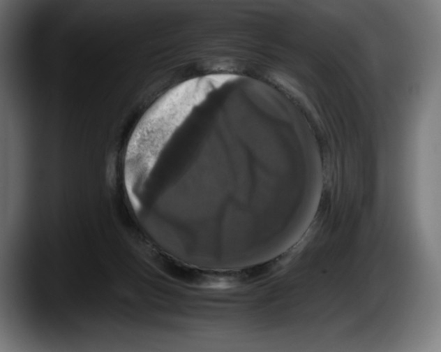 X0000087580167200705251848