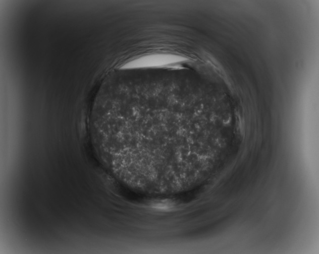 X0000087580169200705251848