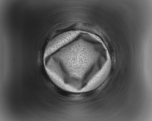 X0000087580170200705251848
