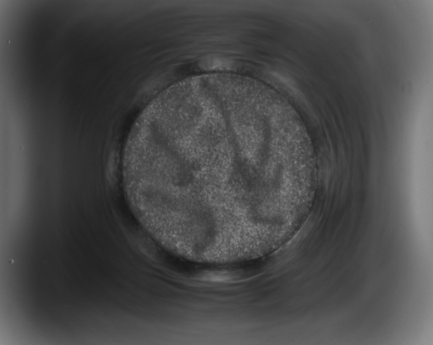 X0000087580171200705251848