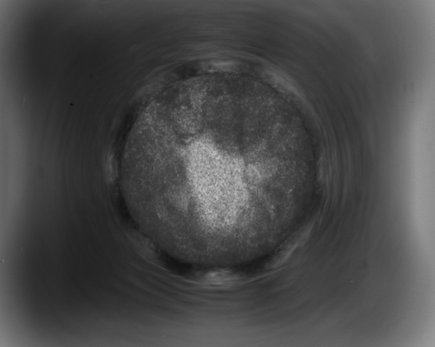 X0000087580173200705251848