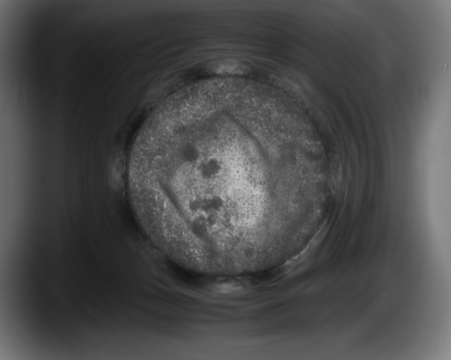 X0000087580175200705251848