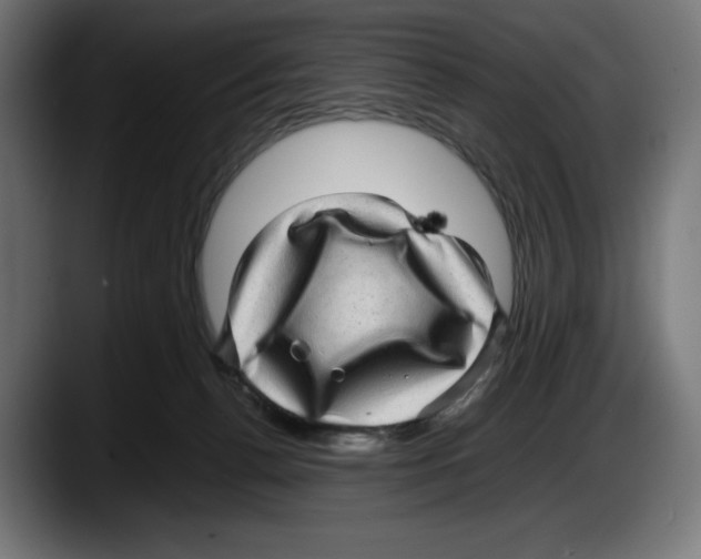 X0000087580176200705251848