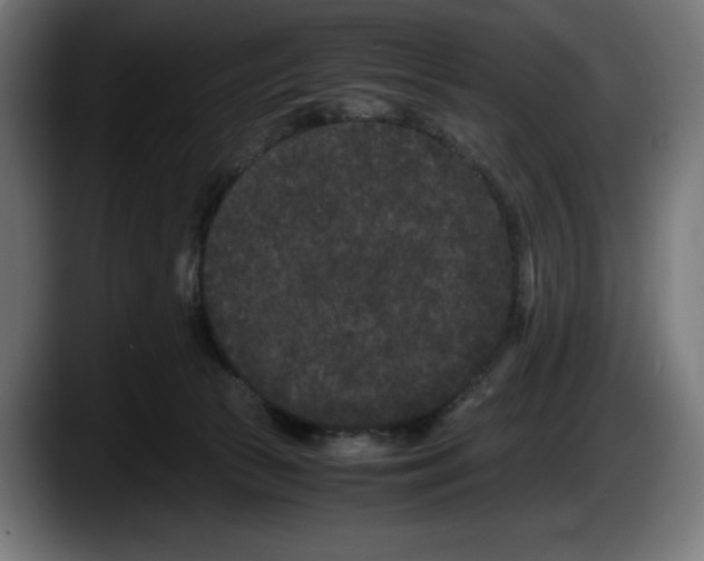 X0000087580177200705251848