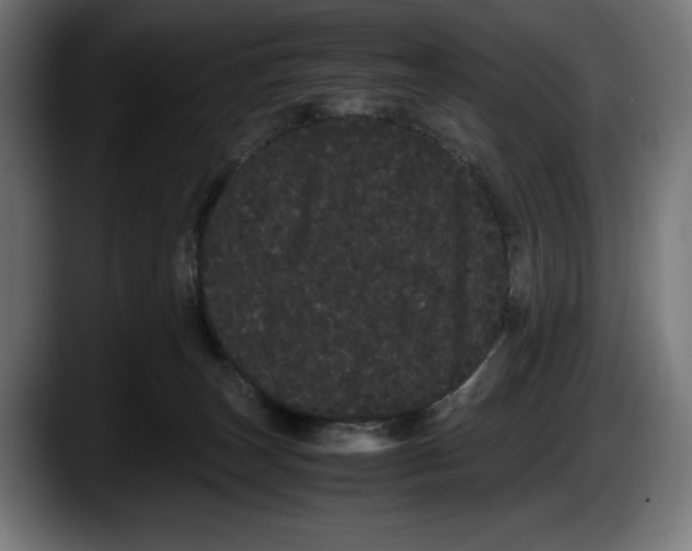 X0000087580179200705251848