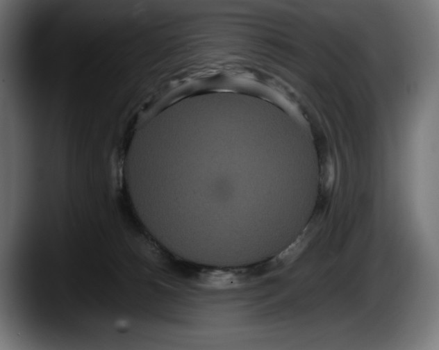 X0000087580180200705251848